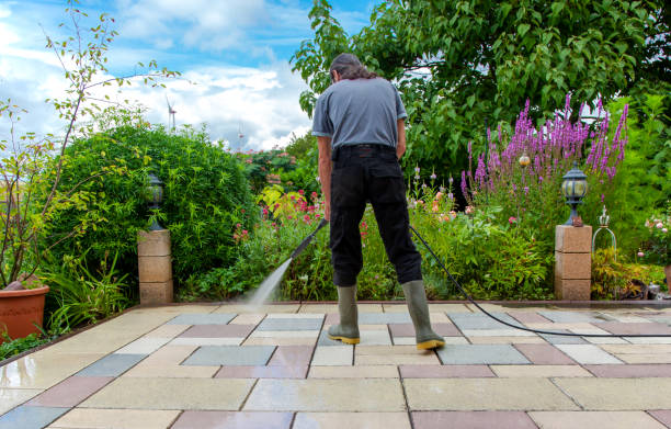 Reliable Paincourtville, LA Pressure Washing Services Solutions