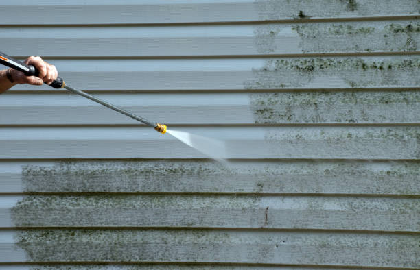 Best Gutter Cleaning  in Paincourtville, LA